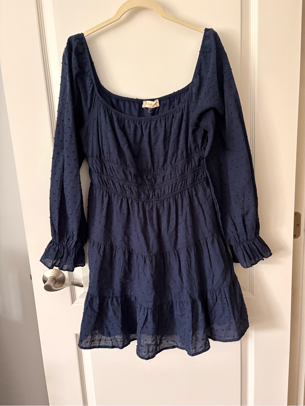 Altar'd State Navy Swiss Dot Tiered Long Sleeve Mini Dress